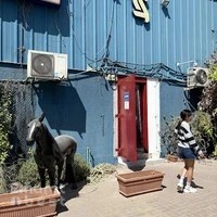 TACK AND TRACK LLC
