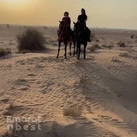 Gavallo Heart Stable Horse Riding & Training Dubai