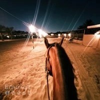 Thefarmhousestables