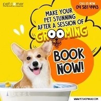 Fish Suppliers - Umm Suqueim Pet Shop