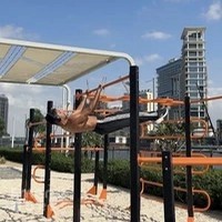 Calisthenics training