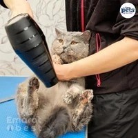 Dubai Pets Groomer