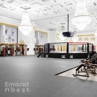 MMA Live Gym Dubai