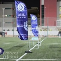 Lions Sports Academy