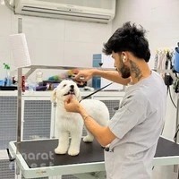Pet Street Veterinary Clinic