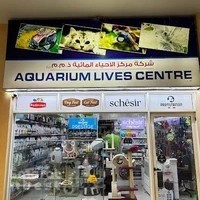 Aquarium Lives - Al Warsan
