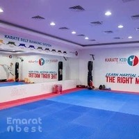 Karate Kid Martial Arts