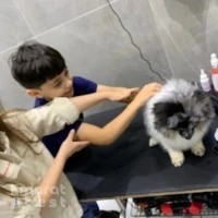 عيادة بت ادفانس البيطرية،عيادةبيطرية.
