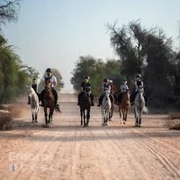 Winners Equestrian Club