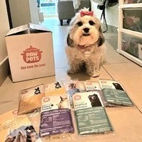 PawPots UAE