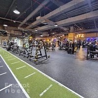GymNation Al Quoz | Best Gym in Al Quoz