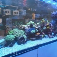 Aquarium Planet for Fish and Live Animals Trading LLC
