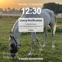 Sahara Stables