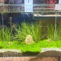 Aquarium Lives - Safari Mall Muweilah