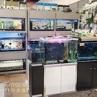 Aquarium Lives - Safari Mall Muweilah
