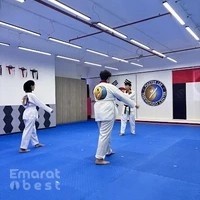 Master Lee Taekwondo Center