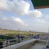 مضمار العين للفروسية
