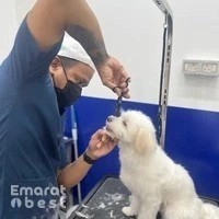 Pawfessor Pets Grooming