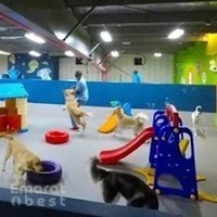 House of Paws