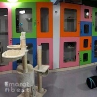 House of Paws