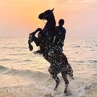 Dubai desert horse ride experience