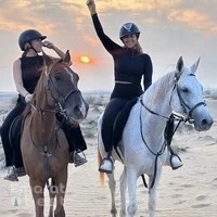 Dubai desert horse ride experience