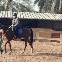 Equine Serenity