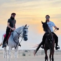Dream stable