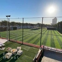 Desert Falcon FC - Ripe Market