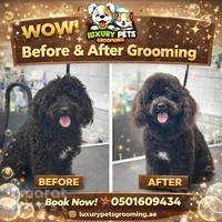 Luxury Pets Mobile Grooming