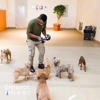 The Dog Retreat