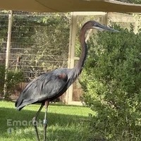 Wasit Wetland Nature Park | منتزه واسط للأراضي الرطبة