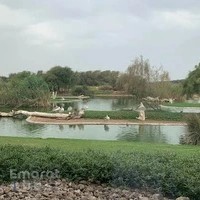 Wasit Wetland Nature Park | منتزه واسط للأراضي الرطبة