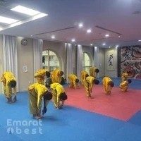 Shaolin Kung Fu - Dubai