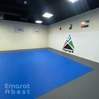OlympX Martial Arts Club