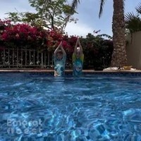 Private swimming classes