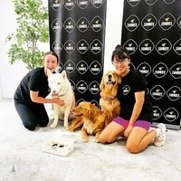 Zoomies Dog Daycare & Dog Boarding