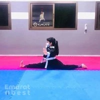 Silver Medal Self Defence