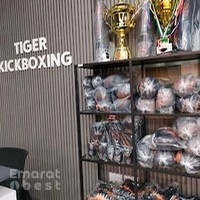 Tiger Kickboxing Arjan