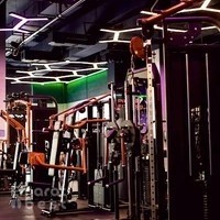 PRIME FITNESS DIP