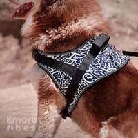 Milanpetgroup