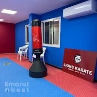 Lions Karate Martial Arts Club - Karama