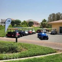 The Golf Buggy Guy