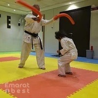 Zenith sport karate