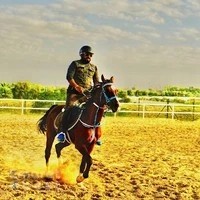 Al Madam 2 equestrian club- Horse Riding School