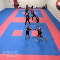 Royal Arsenal Martial Arts Academy