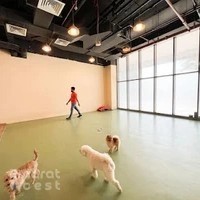 Petzania