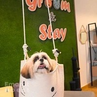 Groom&Stay - Pet Grooming and Accessories
