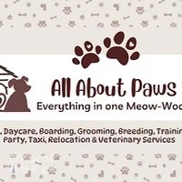 All About Paws: Everything in one Meow-Woof! 🐾