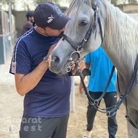 Horse Riding Dubai